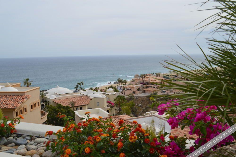 Villa Las Flores Κάβο σαν Λούκας Εξωτερικό φωτογραφία