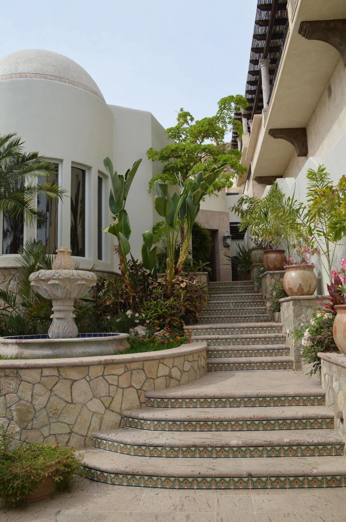 Villa Las Flores Κάβο σαν Λούκας Εξωτερικό φωτογραφία
